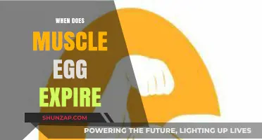 Muscle Egg: How Long Does it Last?