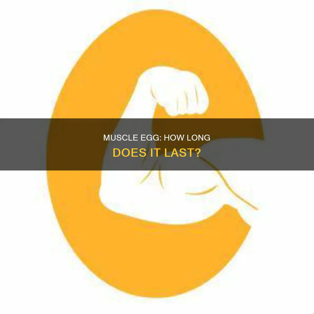 when does muscle egg expire