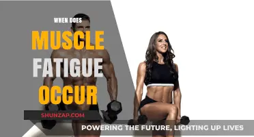 Understanding Muscle Fatigue: When Do Our Muscles Fail?