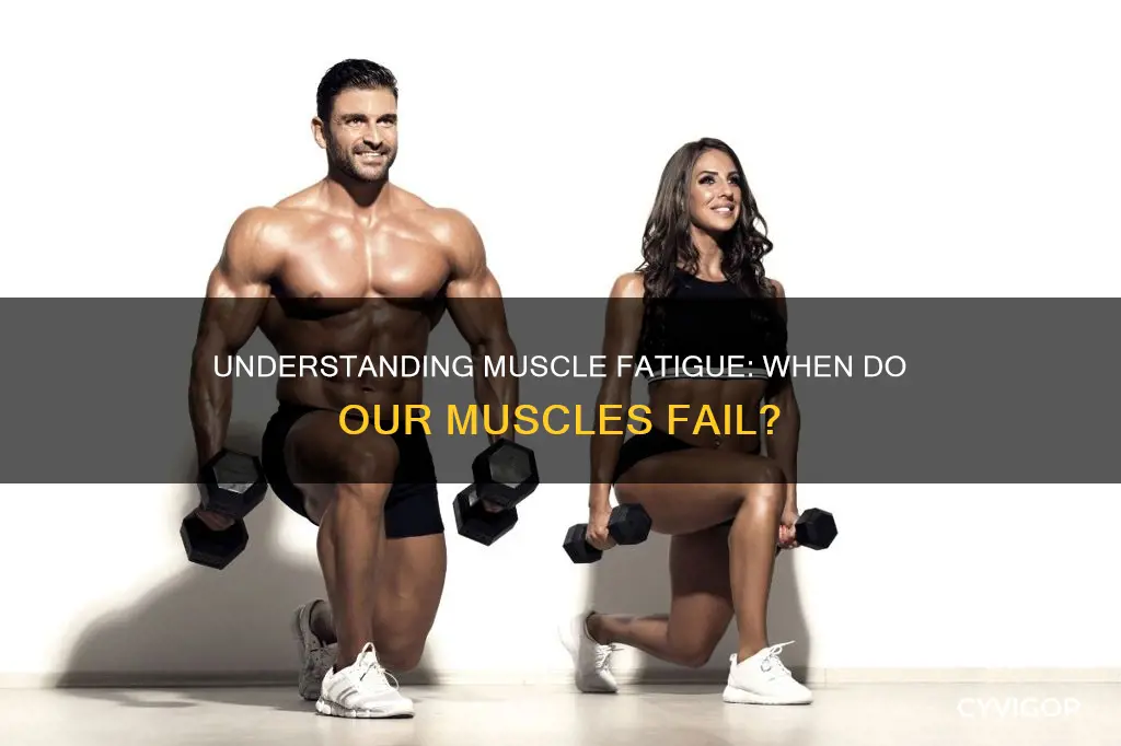when does muscle fatigue occur