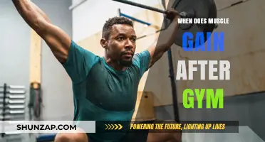 When Does Muscle Gain Start After Hitting the Gym?