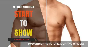 When Does Muscle Gain Become Visible: A Timeline for Results