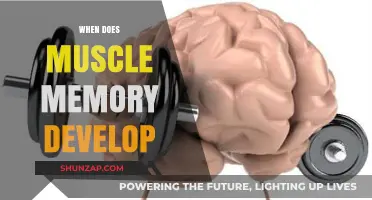Developing Muscle Memory: How Long Does It Take?