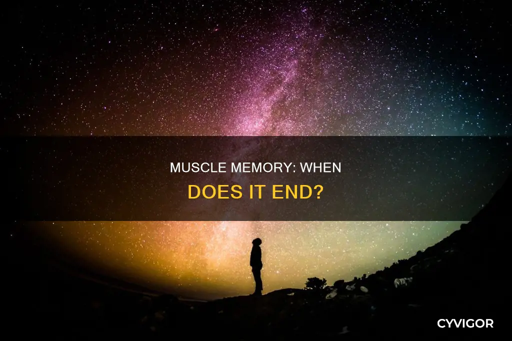 when does muscle memory stop