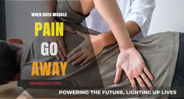 When Does Muscle Pain Go Away? Understanding Recovery Timelines
