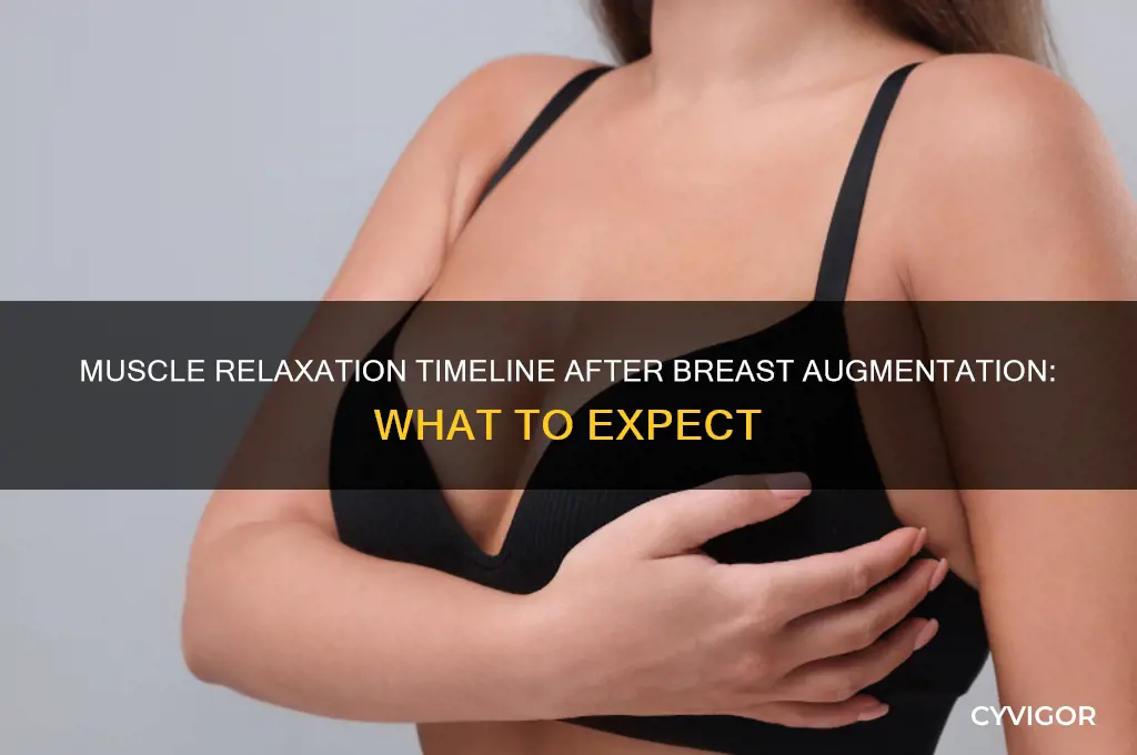 when does muscle relax after breast augmentation