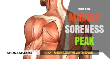 Understanding Delayed Muscle Soreness Peaks