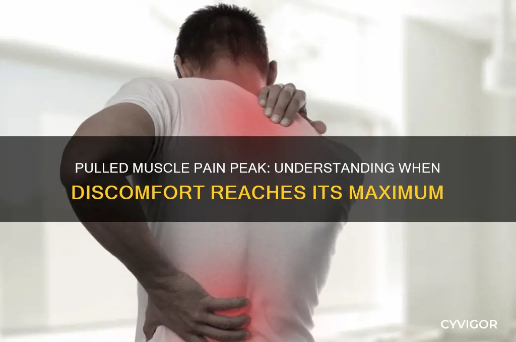 when does pain peak pulled muscle