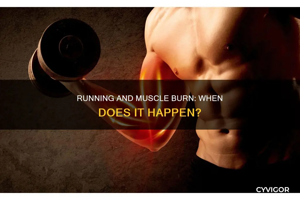 when does running burn muscle