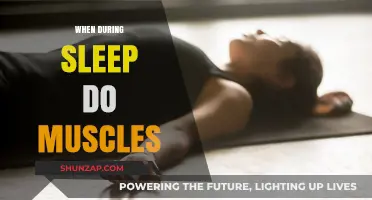 Muscle Relaxation: The Sleep-Wake Cycle's Secret