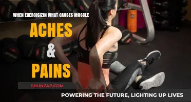 Understanding Muscle Aches & Pains: Causes During Exercise Explained