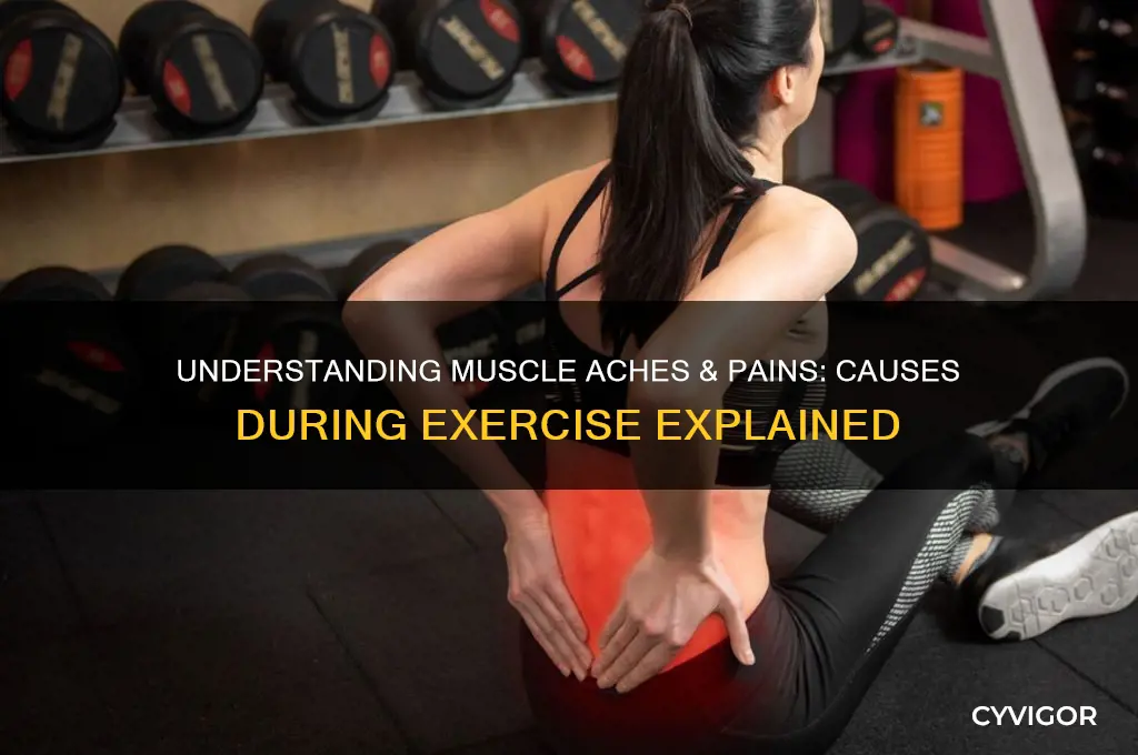 when exercisizin what causes muscle aches & pains
