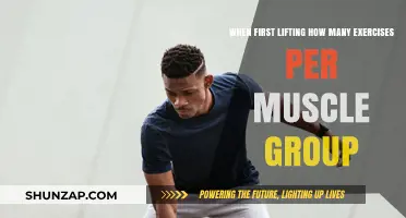 Optimal Exercise Count for Each Muscle Group When Starting Lifting
