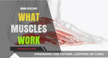 Flexing Your Foot: Unlocking the Muscles in Action