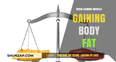 Muscle Gain and Fat: Balancing Body Composition Effectively