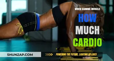 Balancing Cardio and Muscle Gain: Optimal Strategies for Strength and Endurance