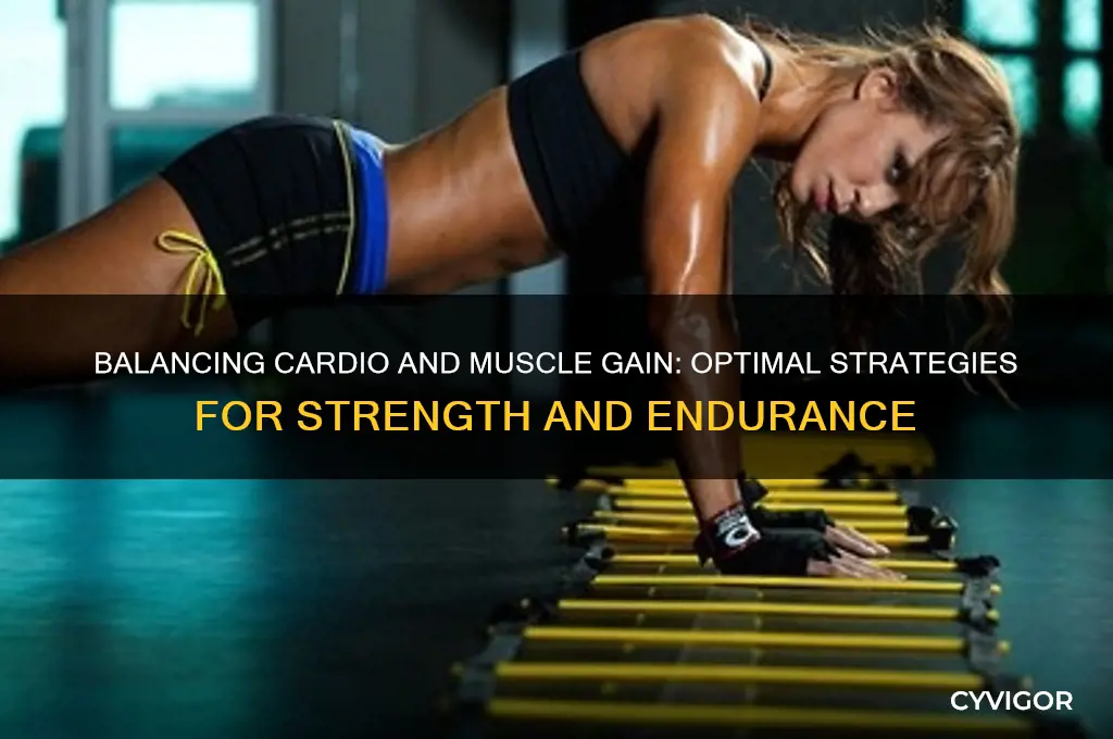 when gaining muscle how much cardio