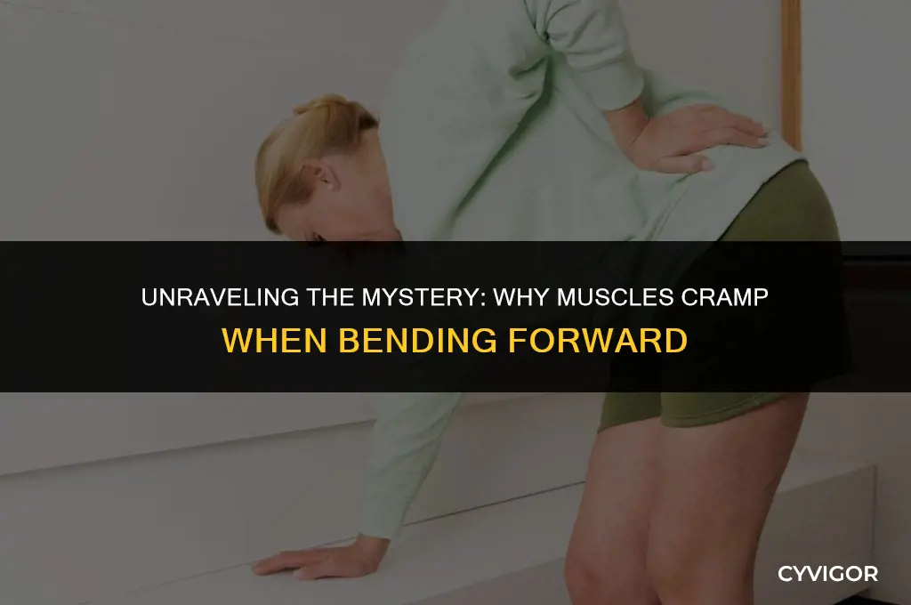when i bend forward my muscles cramp