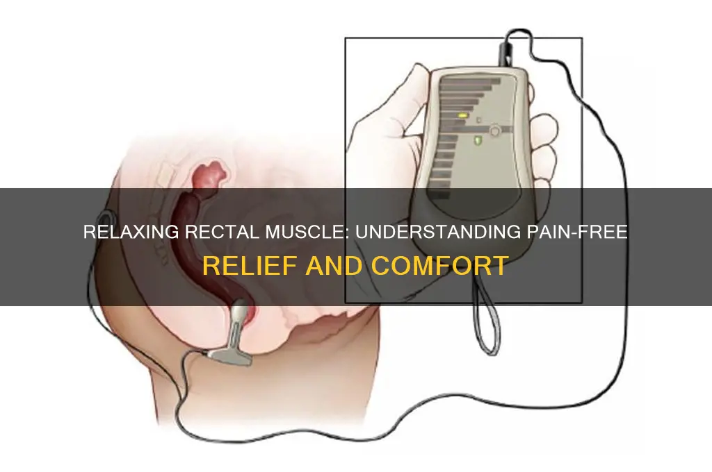 when i relax my rectal muscle does not hurt