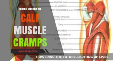 Unraveling the Mystery: Why Calf Muscle Cramps Strike During Stretches