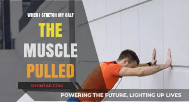 Calf Muscle Pull: Causes, Prevention, and Stretching Techniques Explained