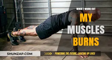 Muscle Burn During Workouts: Causes, Benefits, and Recovery Tips