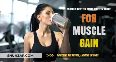 Optimal Timing for Protein Shakes to Maximize Muscle Growth