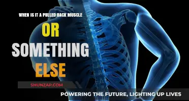 Pulled Back Muscle or Not? Identifying Your Pain's True Cause