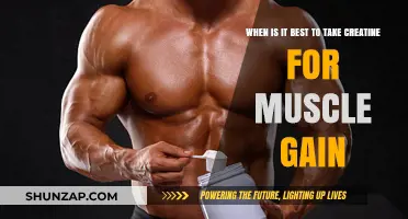 Optimal Creatine Timing for Maximizing Muscle Growth and Strength