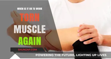 Healing Torn Muscles: When Can You Safely Resume Working Out?