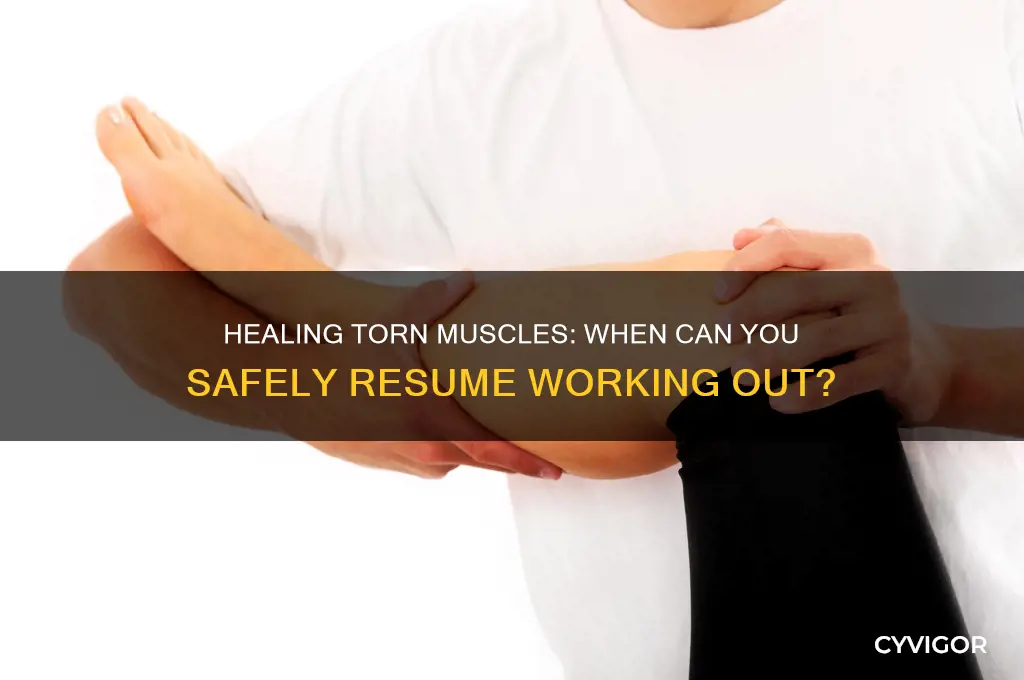 when is it ok to work torn muscle again