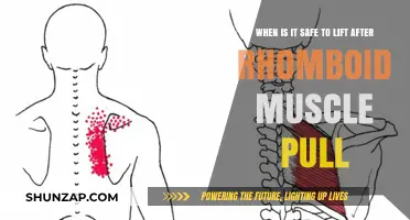 Safe Lifting After Rhomboid Pull: Recovery Timeline and Tips