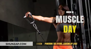 Best Days to Work Out for Muscle Gain
