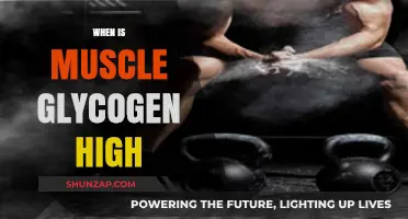 Maximize Muscle Glycogen: The Best Time to Refuel
