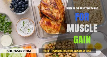 Optimal Eating Times for Maximizing Muscle Gain and Recovery