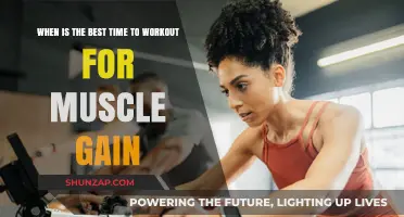 Maximize Muscle Growth: Discover the Optimal Workout Timing
