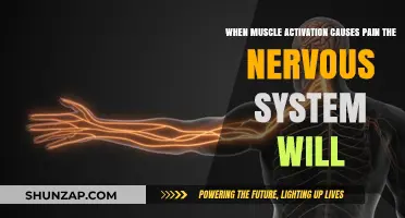 Muscle Activation Pain: How the Nervous System Responds and Adapts