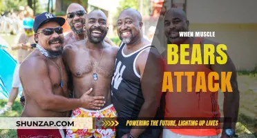 Muscle Bears: Ferocious Fitness and Fun