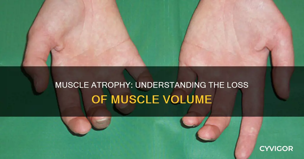 when muscle decreases in volume
