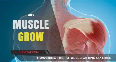 Understanding Muscle Growth: When and How Muscles Develop and Strengthen
