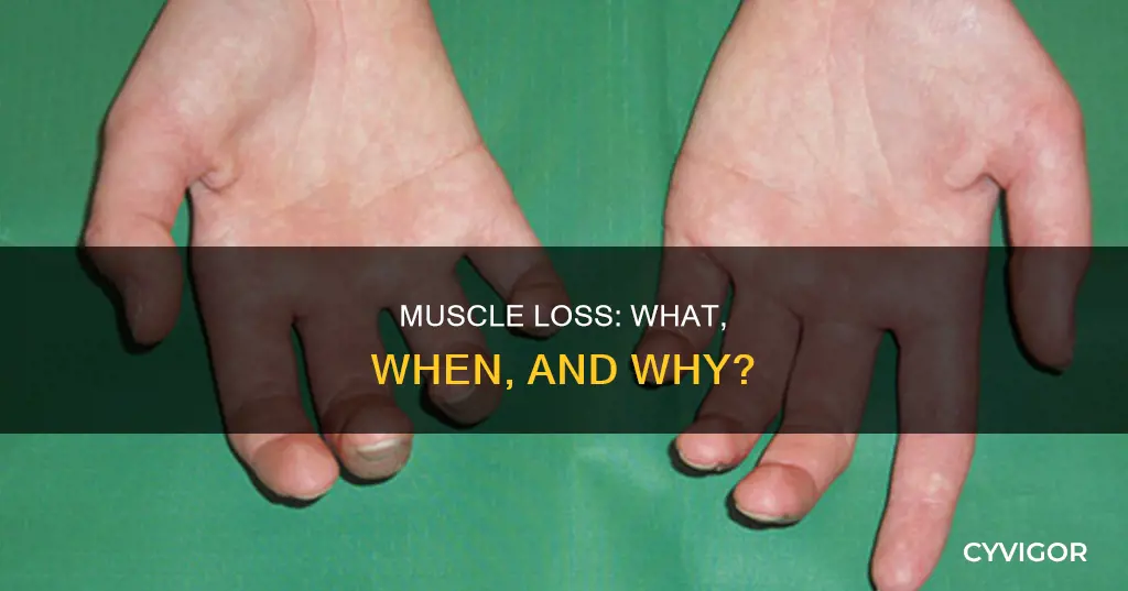 when muscle loss happens