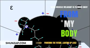 How Long Does It Take for Muscle Relaxants to Leave Your System?