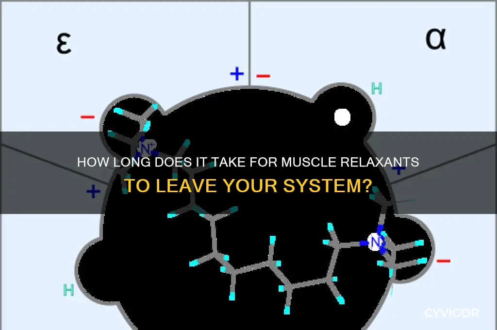 when muscle relaxant is flushed away from my body