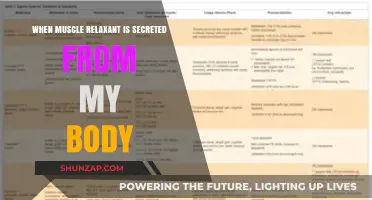 Understanding Muscle Relaxant Secretion: How Your Body Naturally Unwinds
