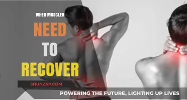 Muscle Recovery: Strategies for Optimal Performance