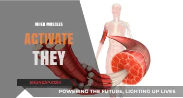 Muscle Activation: The Secret to Unlocking Strength