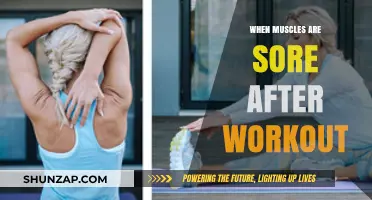 Why Muscles Ache Post-Workout: Understanding Delayed Onset Muscle Soreness