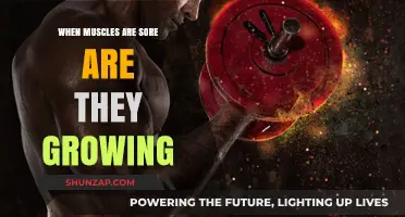 Muscle Soreness and Growth: Understanding the Connection and Recovery