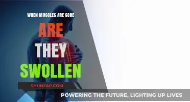 Are Sore Muscles Swollen? Understanding Post-Workout Pain and Inflammation