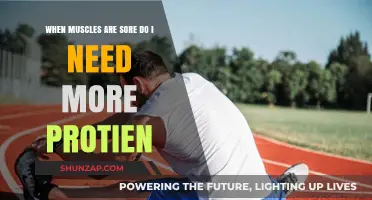 Sore Muscles and Protein: What You Need to Know